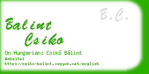 balint csiko business card