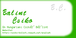 balint csiko business card